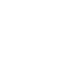 Tlow trusts Jessito for their website design, marketing, and fundraising.